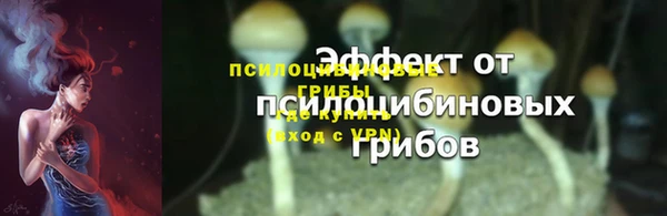 твердый Аркадак