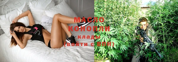 твердый Аркадак