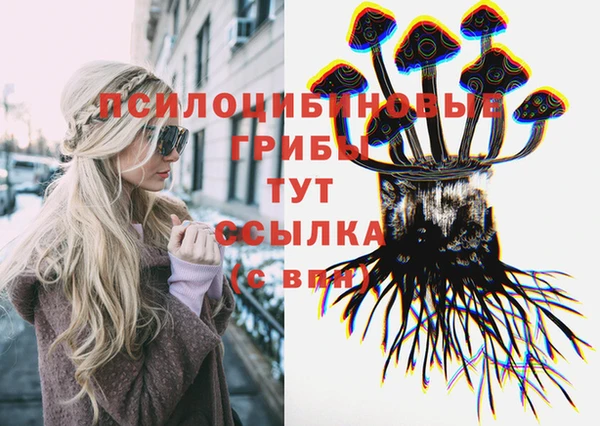 твердый Аркадак