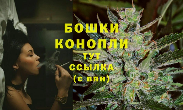 индика Киренск