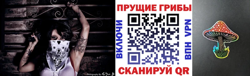 МЕГА ссылки  Баймак  Псилоцибиновые грибы мицелий 