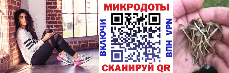 Галлюциногенные грибы прущие грибы Баймак